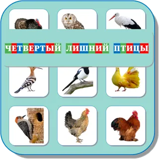 App icon