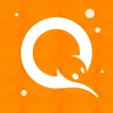 QIWI Кошелек логотип