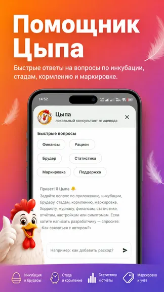 Скриншот 5/5