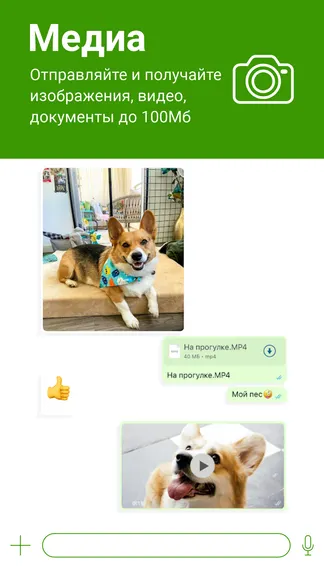 Скриншот 5/10