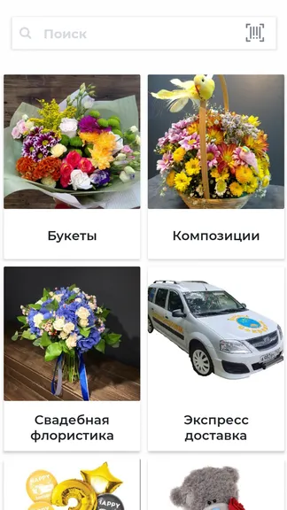 Скриншот 1/4