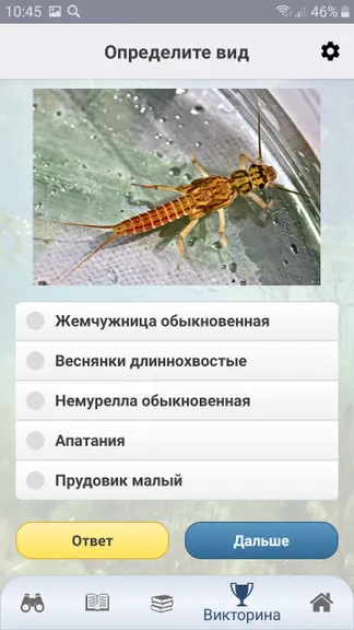 Скриншот 7/10