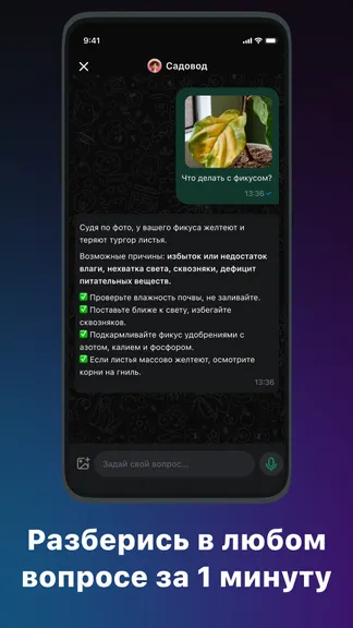 Скриншот 2/5