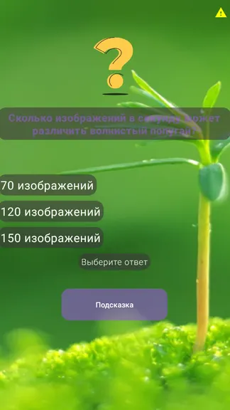 Скриншот 1/2