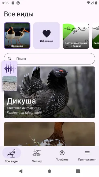 Скриншот 2/8