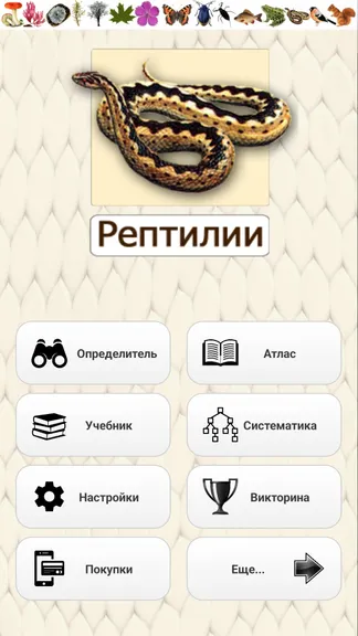 Скриншот 1/8