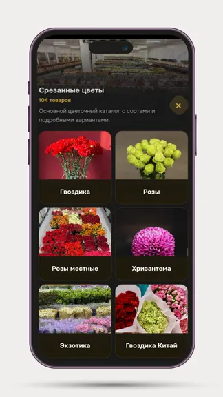 Скриншот 6/6