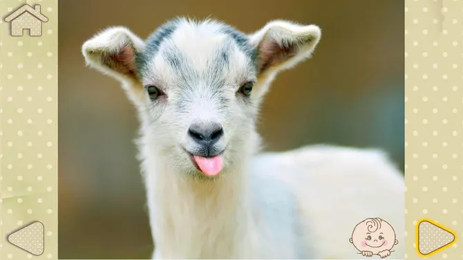 Скриншот 3/8