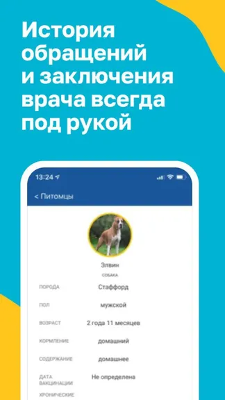 Скриншот 5/5