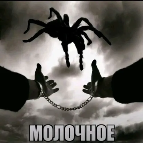 СЕЛО МОЛОЧНОЕ - ХОРРОР ПОБЕГ — иконка