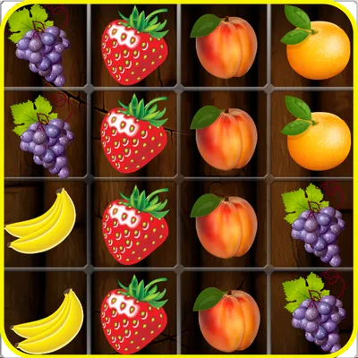 Fruits Legend