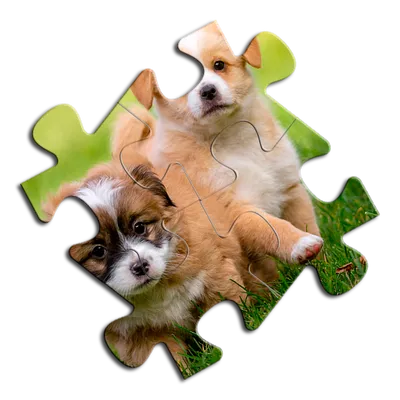 Puzzle Rompecabezas Dogs 