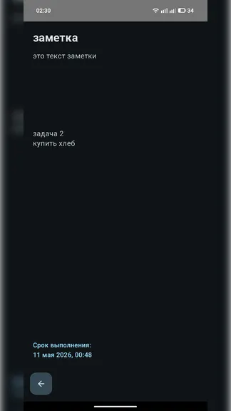 Скриншот 2/4