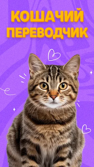 Скриншот 1/4