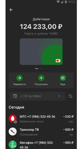 Скриншот 10/10