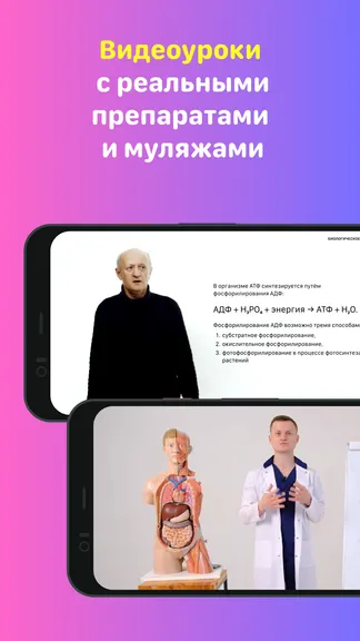 Скриншот 7/8