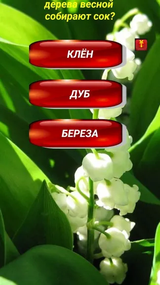 Скриншот 3/5