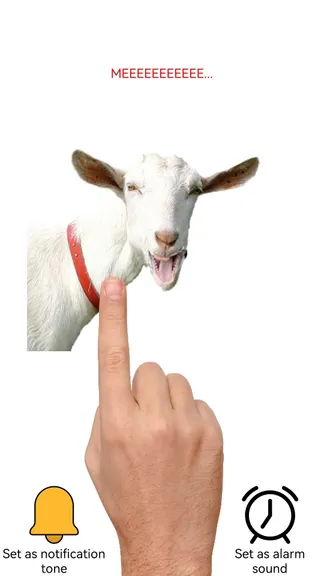 Скриншот 2/3