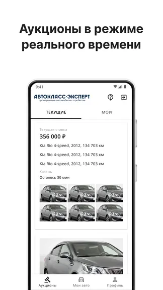 Скриншот 1/3