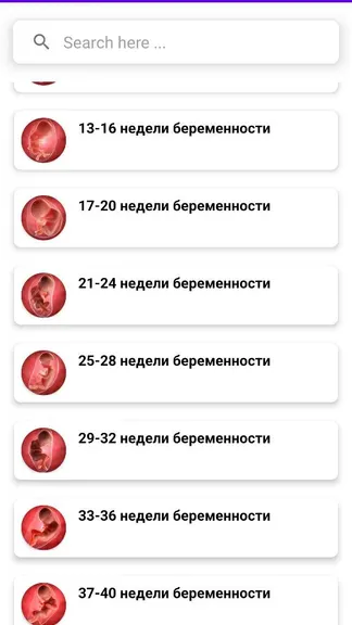 Скриншот 2/4