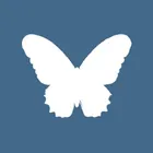 Dusha - метафорические карты логотип