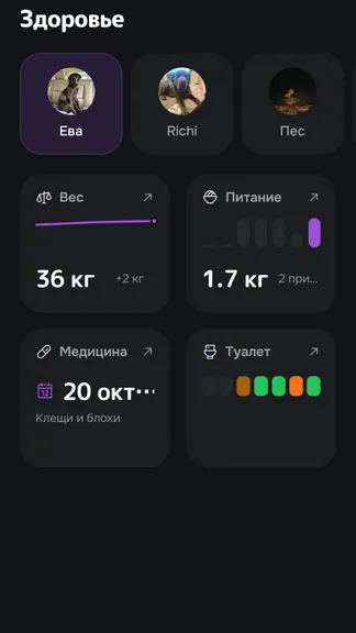 Скриншот 4/6