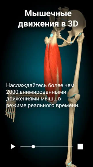 Скриншот 2/6