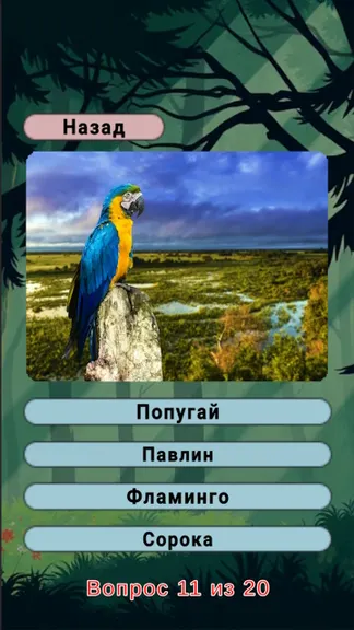Скриншот 4/8