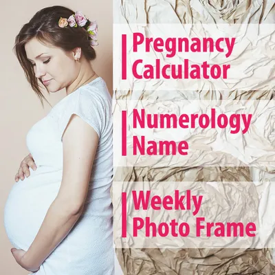 Pregnancy Calculator