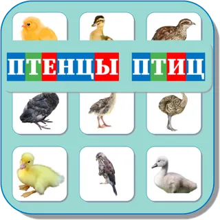 App icon