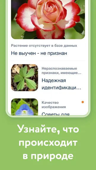 Скриншот 5/8