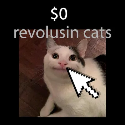 revolusin cats