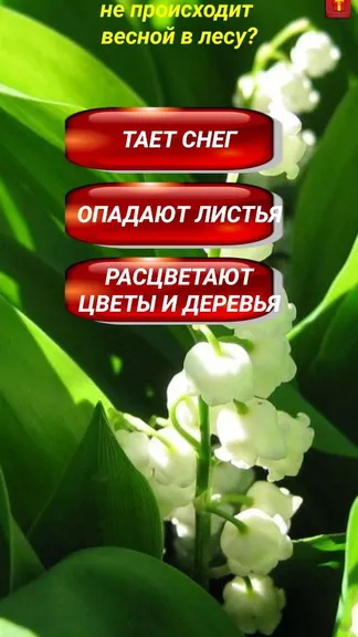 Скриншот 2/5