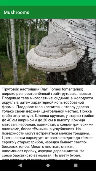 Скриншот 3/4