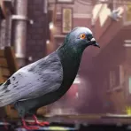 Crappy Bird: Pigeon Simulator логотип