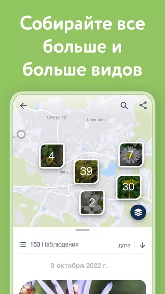 Скриншот 4/8