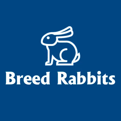 BreedRabbits 2 - Мобильная кроликоферма. 