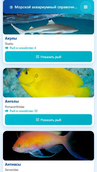 Скриншот 4/4