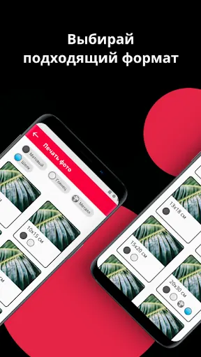 Скриншот 5/5