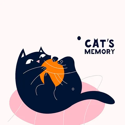 Cats Memory