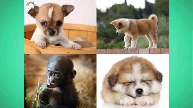 Скриншот 6/8