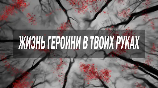 Скриншот 1/2