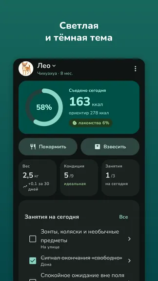 Скриншот 8/8