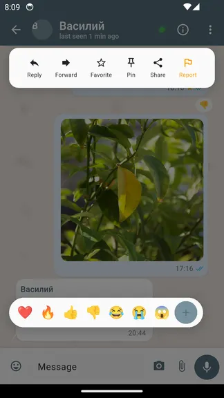 Скриншот 10/10