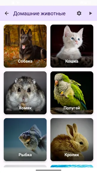 Скриншот 2/3