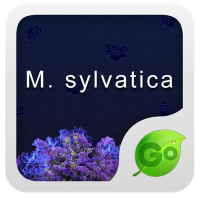 GO Keyboard M.sylvatica theme