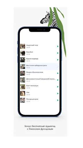 Скриншот 3/8