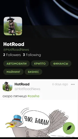 Скриншот 5/5