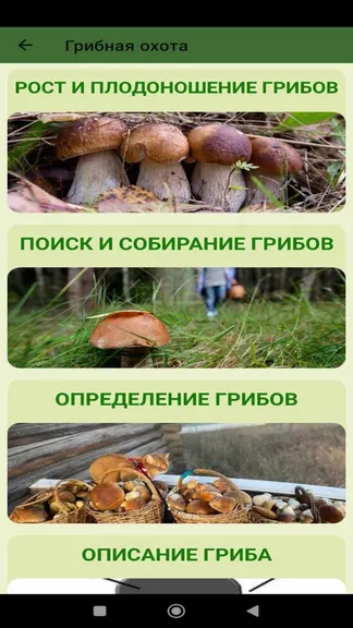 Скриншот 6/6