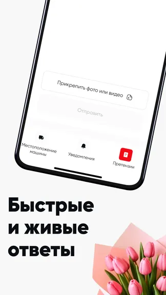 Скриншот 3/4